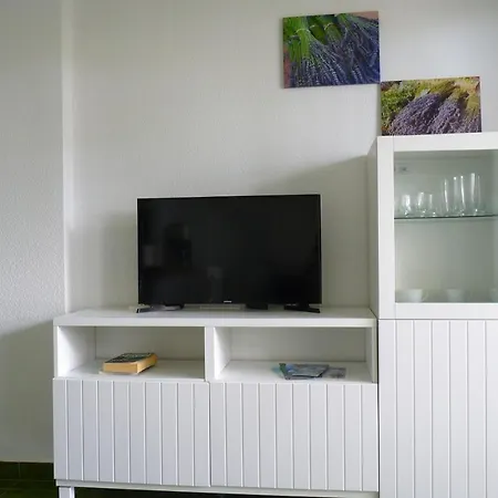 Surycan Apartment